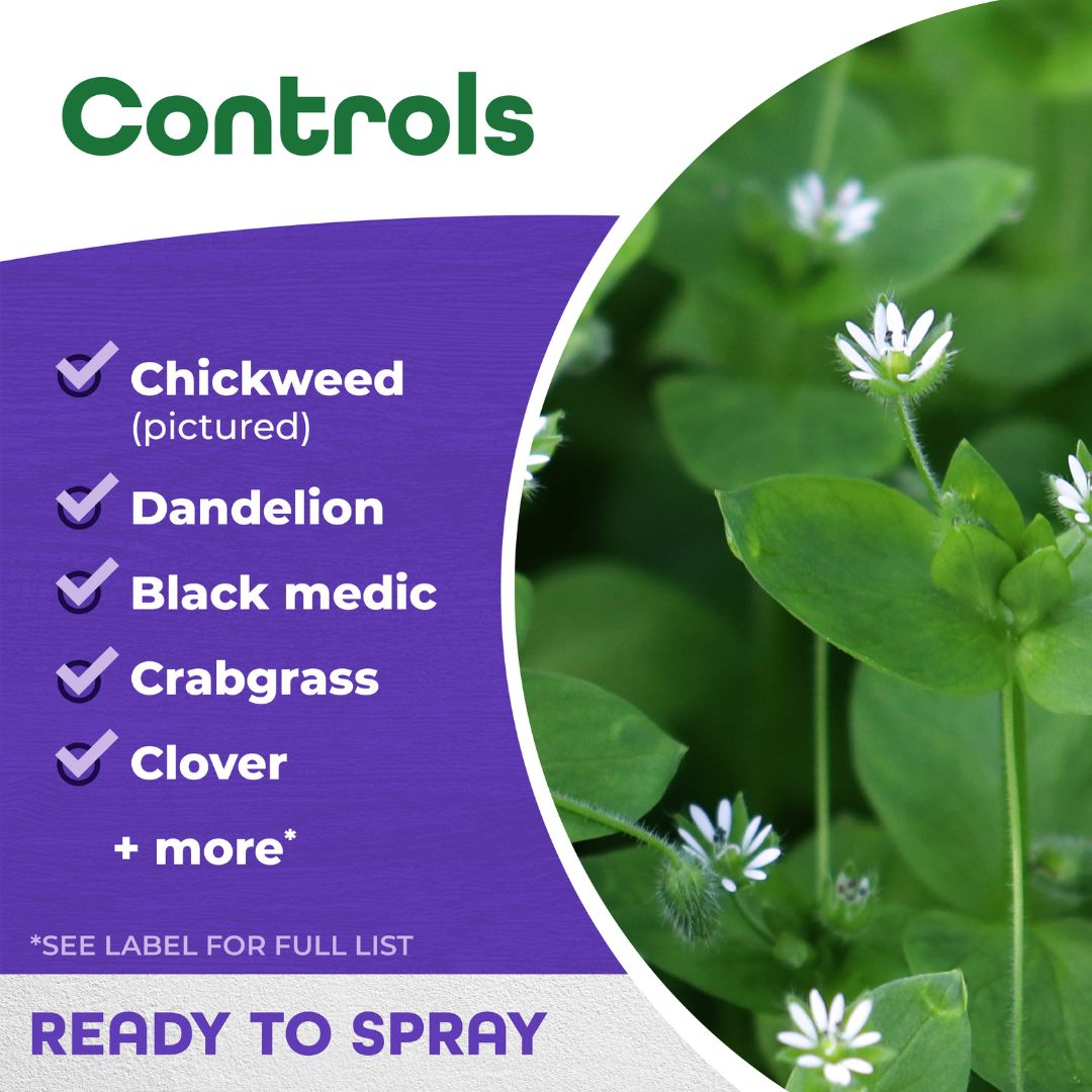 Weed Beater Plus Crabgrass & Broadleaf Weed Killer Spray – Bonide – 32 oz